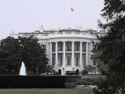 fountain with a tree near the white house in america