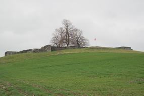 Roman Castle Kastell Irgenhausen