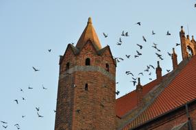 Church Tower Architecture