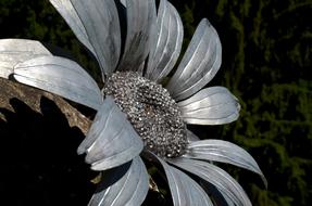 silver metal flower close up