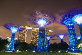 modern architecture in blue night light