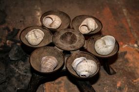 Roman Snail Pot as an artifact