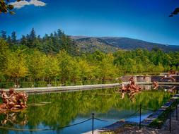 sculptures in a pond near the forest