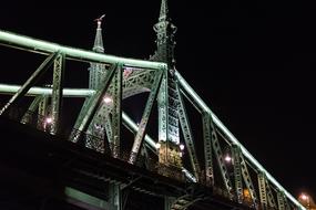 Liberty Bridge Danube River at night