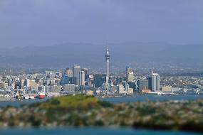 Landscape of the coast of Auckland, New Zealand, with the colorful buildings, near the mountains