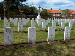 rows of gravestones on War Cemetery, Netherlands, Milsbeek