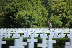 Man on the American Army Cemetery with white crosses, among the green and yellow plants