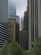 Skyscrapers in Chicago, Illinois, USA, among the green trees