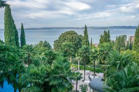 green trees on the coast of lake garda in italy