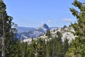 Yosemite California Mountain