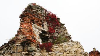 Beautiful and colorful ruins of the castle with colorful plants, near the Lake Dusia