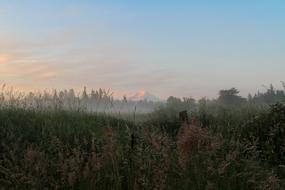 Mount Rainier Sunrise Dawn