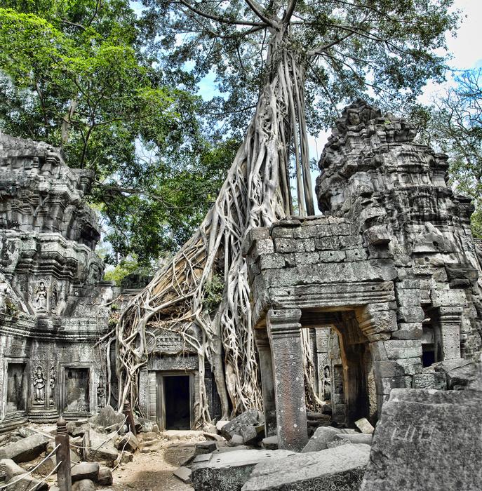 Ta Prohm Cambodia