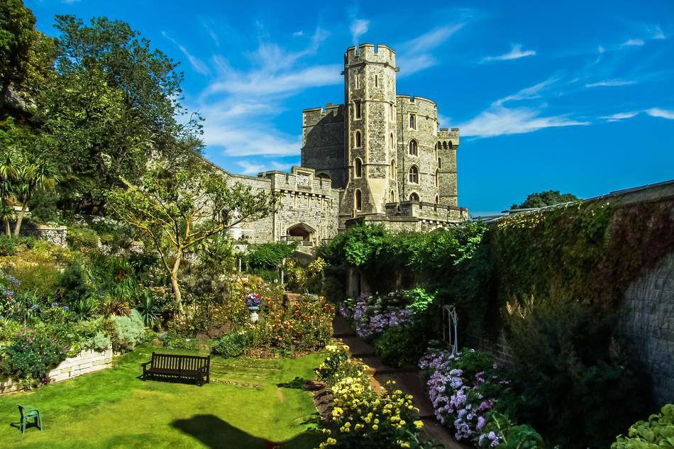 Windsor Castle forest