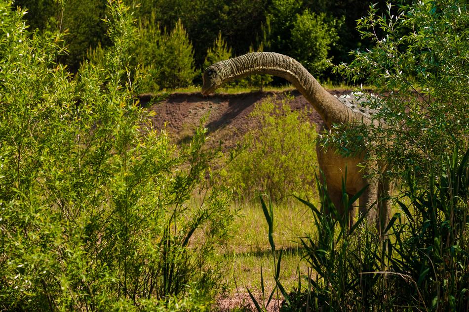 illustration with dinosaur