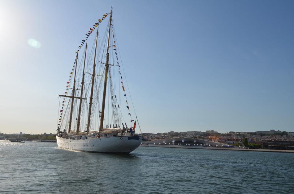 ravishing Sailboats Masts
