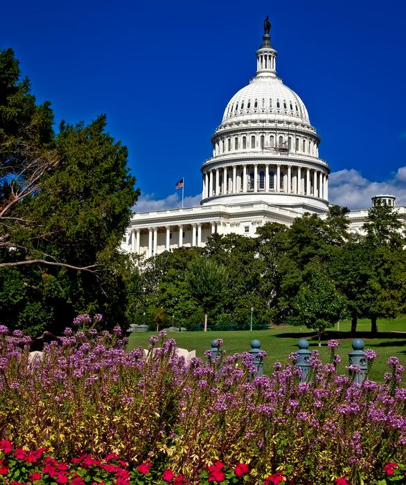 lawn with flowers in front of the capitol in washington