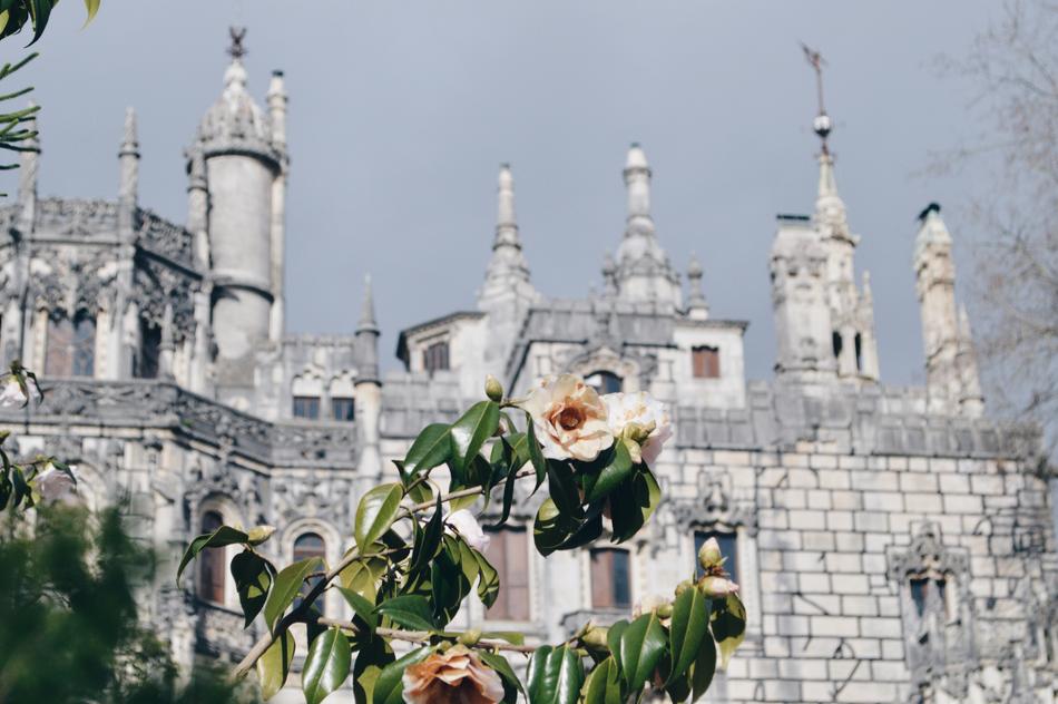 Beautiful Quinta Da Regaleira, near the green plant, with the colorful flowers, in Sintra, Portugal