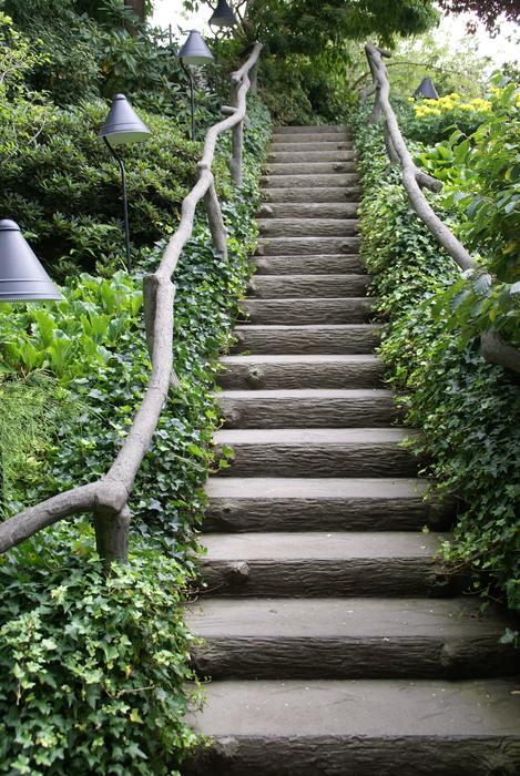 steps in a botanical garden in British Columbia