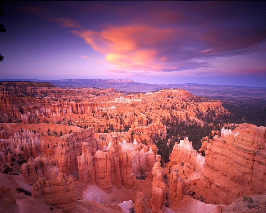 famous Bryce Canyon