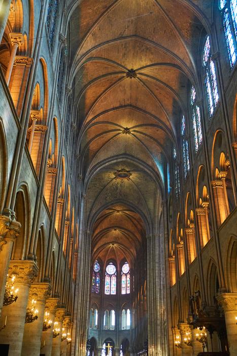 vaults in Notre Dame