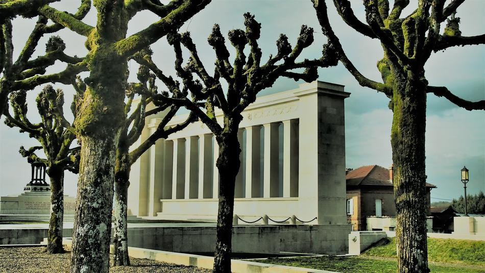 Tree and Architecture Building