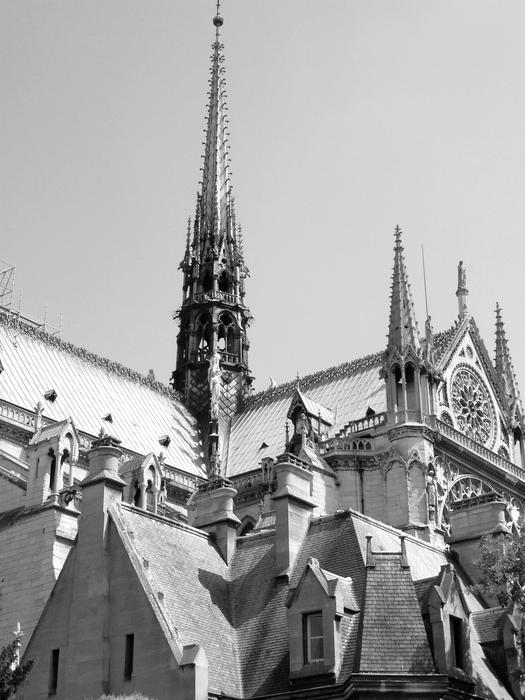 facade details of Notre Dame in Paris