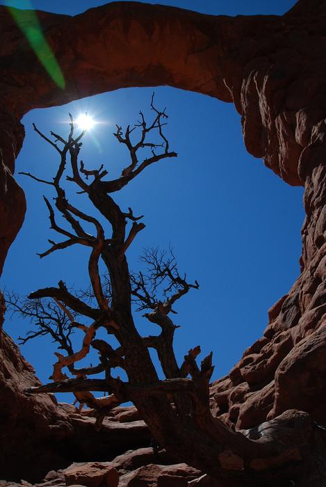 Arches National Park Nature at sunlight