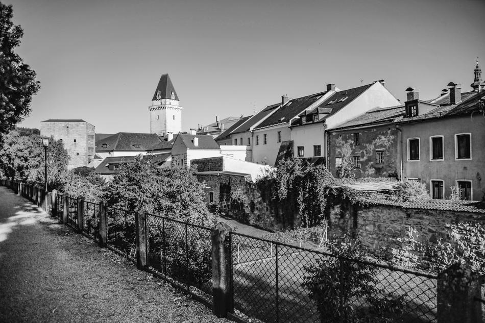 City Park black and white