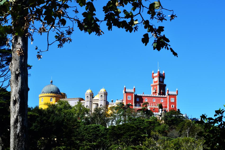 Palace Pen Sintra and trees
