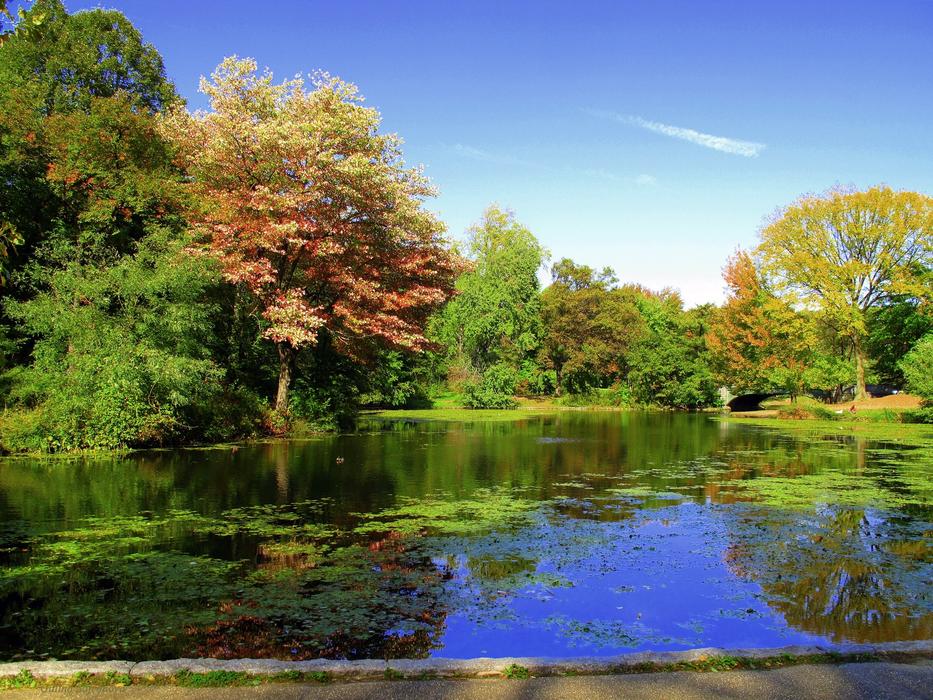 Prospect Park in Brooklyn New York
