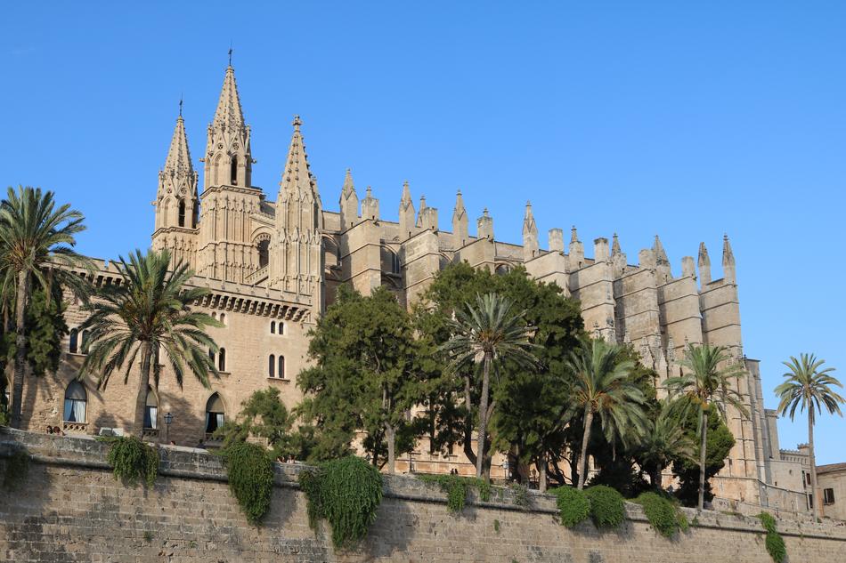 green trees near the castle in the balearic islands