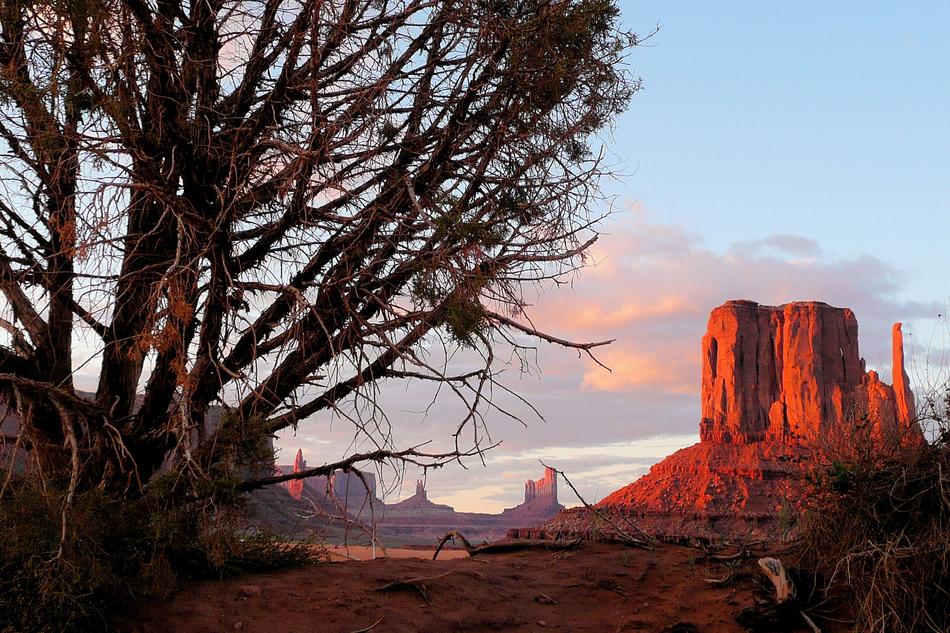 Beautiful and colorful landscape of the Monument Valley, with the trees and rock, in Arizona, in the evening