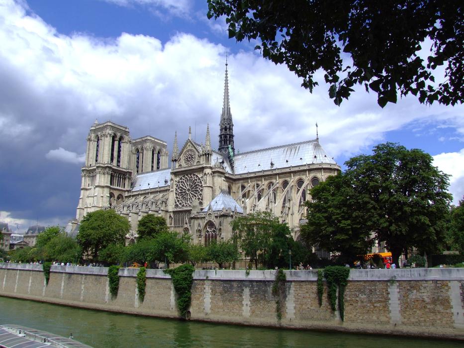 green trees near the cathedral by the river