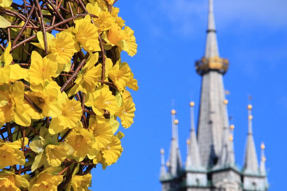 KrakÃ³w Spring Poland
