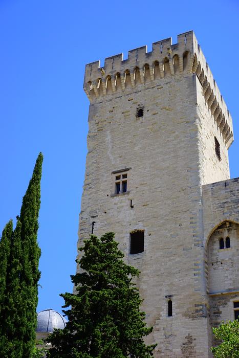 Beautiful corner tower of Palais Des Papes, among the plants, in Avignon, France, under the blue sky
