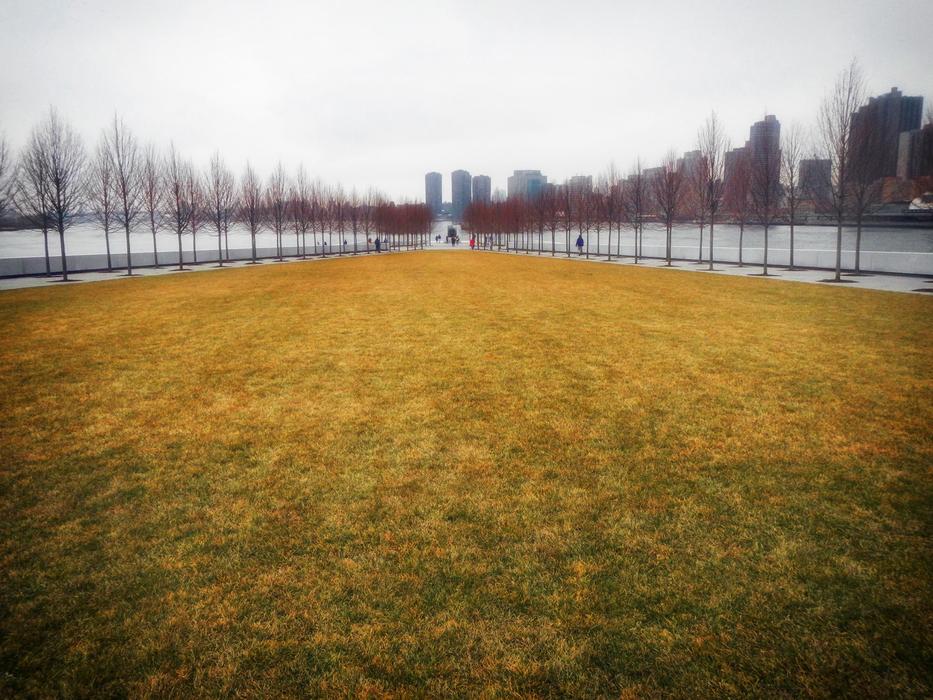 autumn lawn at four freedoms park, Brooklyn, New York