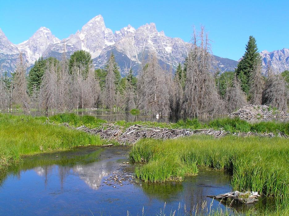 Grand Teton National Park Wyoming