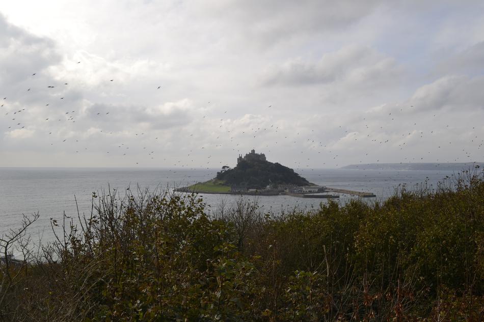 coast with green grass on the background of the island in the sea
