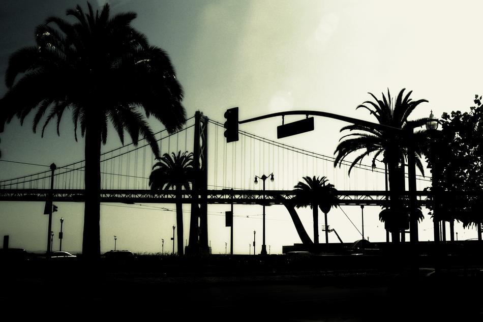 Bridge and Palms Silhouette