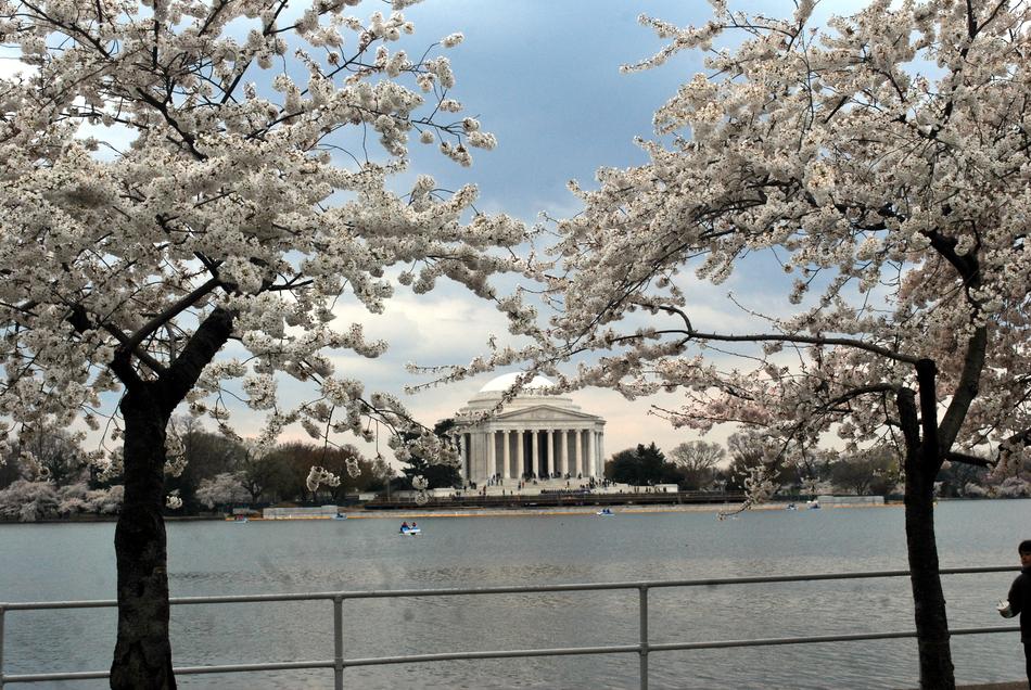 Jefferson Memorial Flowers