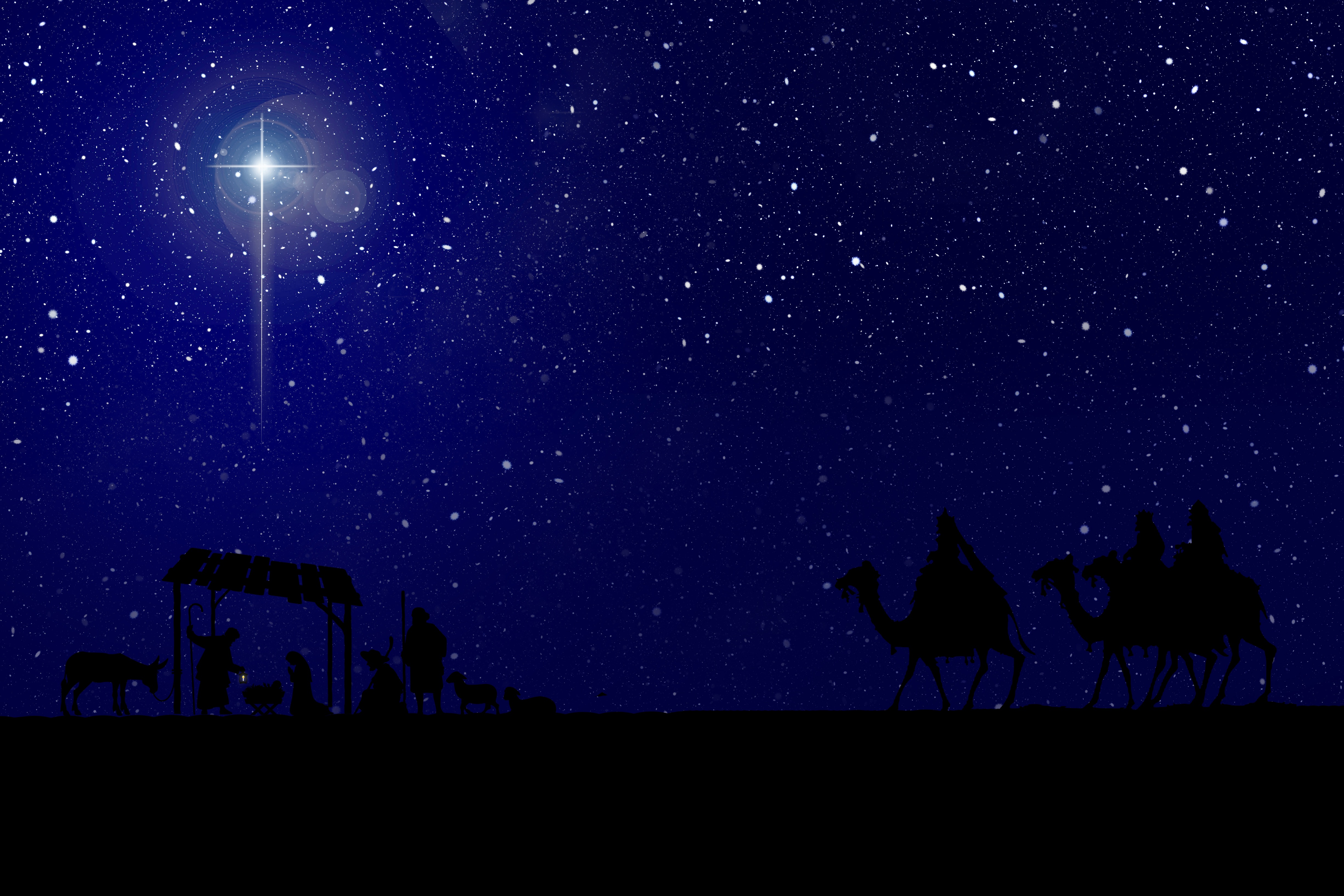 Nativity Star free image
