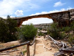 Natural Bridges National