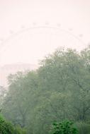 London Eye Ferris Wheel