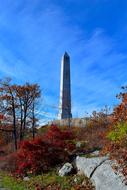 tall tower monument in Park