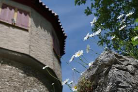 Middle Ages Historic Castle