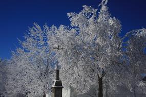 Winter Cross Snow