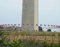 tall tower of flags