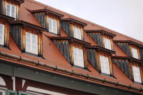 roof with windows