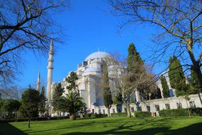 Beautiful SÃ¼leymaniye Cami, among the green plants, at blue sky on background, in Ä°stanbul, Turkey